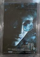 *Framed* "Harry Potter" Autographed Poster