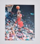 "Michael Jordan" Autographed 8x10 Photo