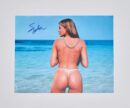 "Sophia Vergara" Autographed 10x8 Photo