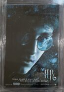 Harry Potter movie poster with icy theme.
