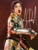 Performer in gold outfit singing energetically on stage.
