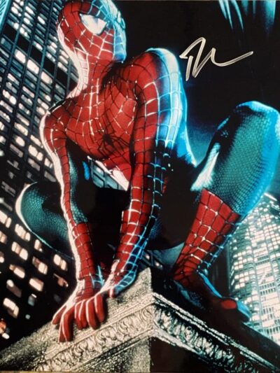 Spider-Man crouching on a city ledge.
