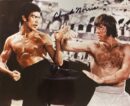 Martial artists sparring in intense fight scene.