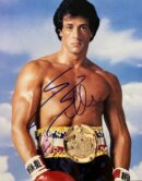 Boxer with championship belt and gloves.