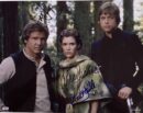 Three characters in forest with autographs.