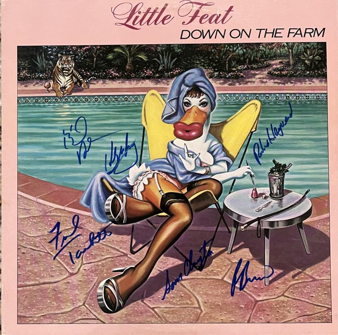 Duck lounging by pool