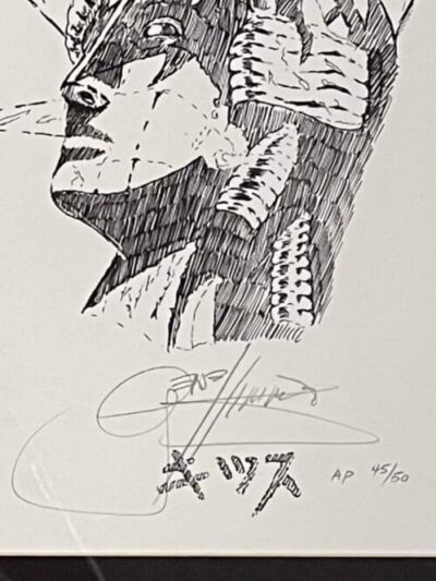 Illustration of a face with headdress.