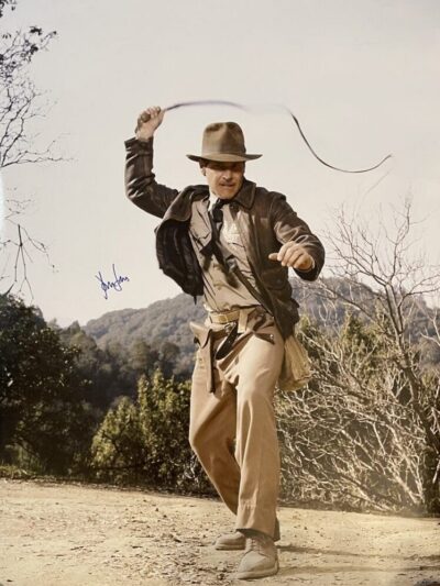 Adventurer with whip in outdoor setting.