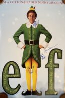 Elf character in green costume