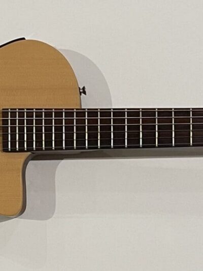 Autographed acoustic guitar on a white background.