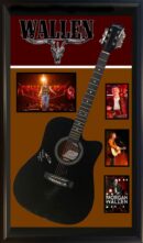 Framed guitar with concert photos and name.