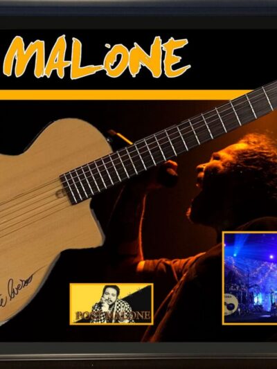 Framed signed guitar with musician images.