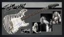 Zebra-striped guitar with musician photos.