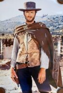 Cowboy in hat and poncho