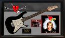 Framed guitar with band photos and logos.