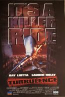 Airliner plunging toward city skyline poster